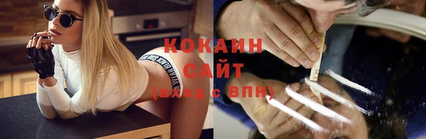 мяу мяу мука Бородино