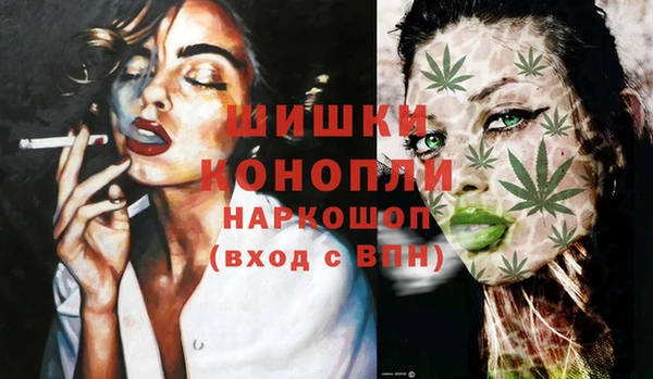 мяу мяу мука Бородино