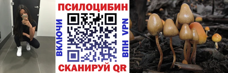 где продают наркотики  Дно  Галлюциногенные грибы прущие грибы 