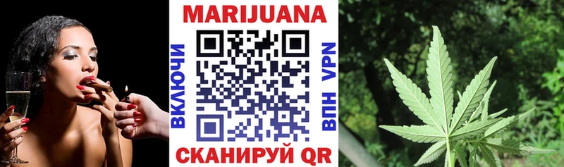 купить Дно Канабис ГИДРОПОН